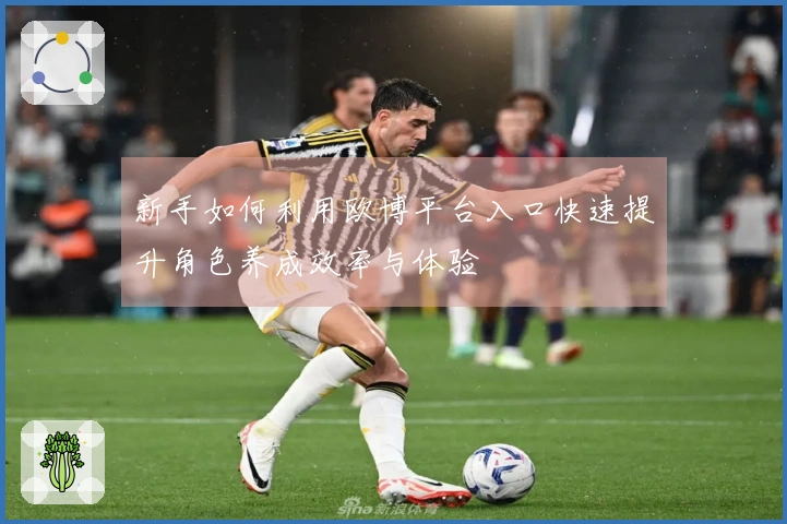 新手如何利用欧博平台入口快速提升角色养成效率与体验
