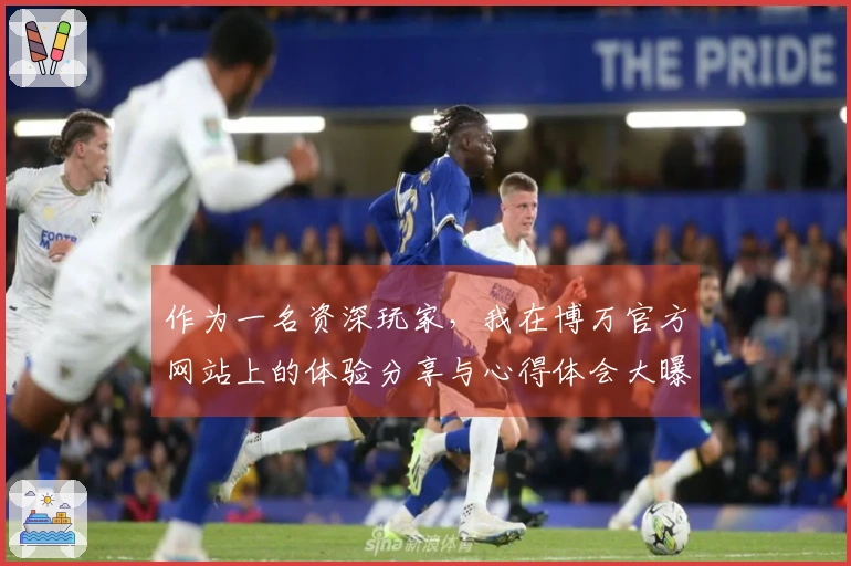 作为一名资深玩家，我在博万官方网站上的体验分享与心得体会大曝光