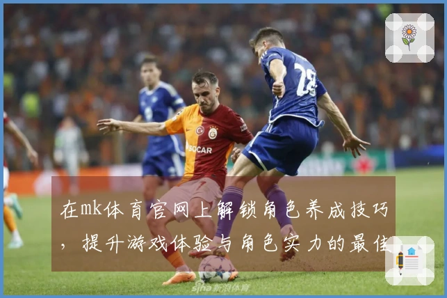 在mk体育官网上解锁角色养成技巧，提升游戏体验与角色实力的最佳策略