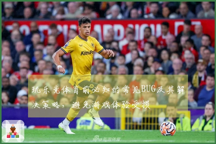 玩乐竞体育前必知的常见BUG及其解决策略，避免游戏体验受损