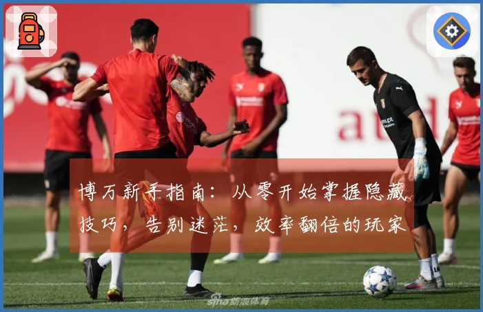 博万新手指南：从零开始掌握隐藏技巧，告别迷茫，效率翻倍的玩家独门秘籍